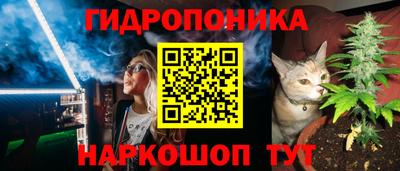 шишки Шебекино