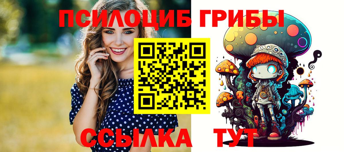 Псилоцибиновые грибы MAGIC MUSHROOMS Александров