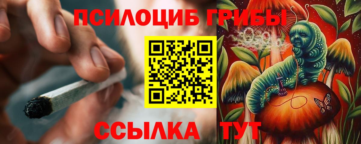 Александров  Псилоцибиновые грибы мицелий  Галлюциногенные грибы MAGIC MUSHROOMS  где найти наркотики  Вход с VPN 